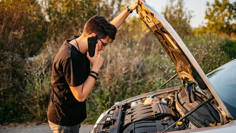 Your Car Talks Back: A Field Guide to Which Sounds Matter and Which Don't